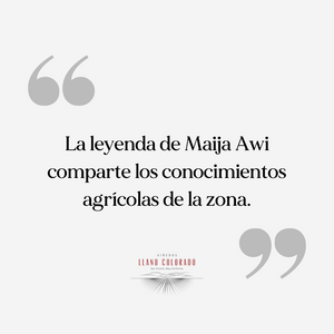 Vino Tinto Maija Merlot - Especial