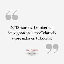 Cargar imagen en el visor de la galería, Vino Tinto Surco 2,7 - Especial

