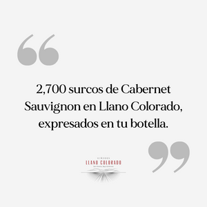 Vino Tinto Surco 2,7 - Especial