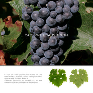 Vino Tinto Ancón San Vicente